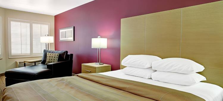 旧金山机场南华美达限量酒店(Ramada Limited and Suites San Francisco Airport)图片