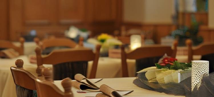 艾赛斯餐厅酒店(Hotel-Restaurant Ehses)图片
