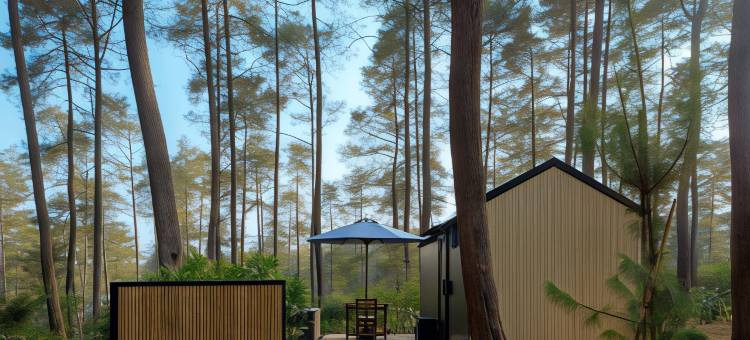 Bobocabin Cikole, Bandung图片