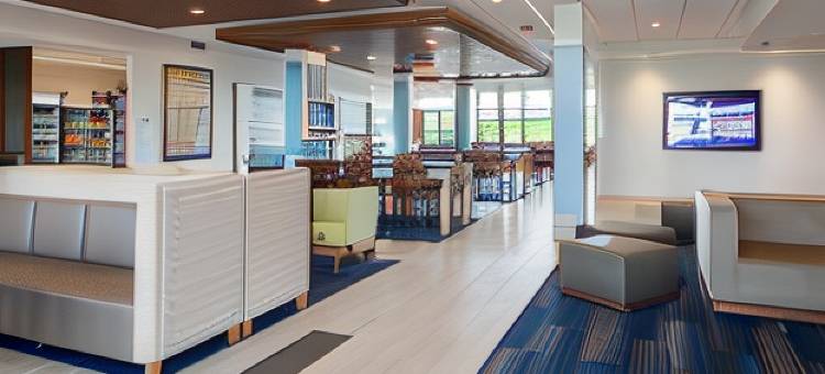 布博奈东-布拉德利智选假日套房酒店(Holiday Inn Express & Suites Bourbonnais East - Bradley)图片