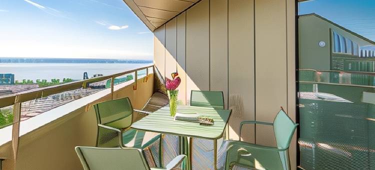 阿尔卑斯及湖泊酒店(Hôtel Alpes & Lac)图片