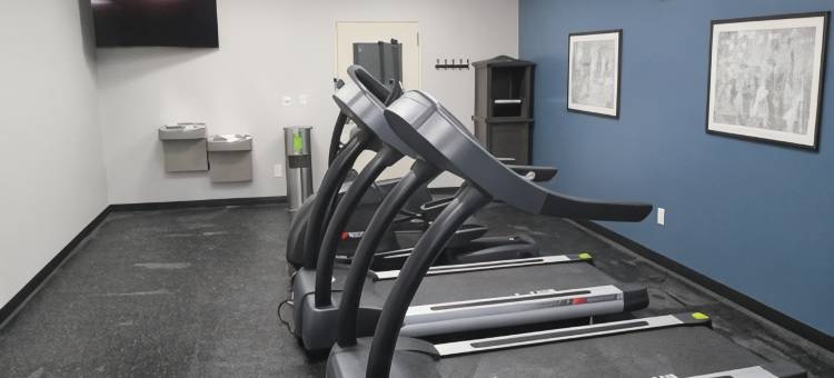 贝斯特韦斯特优质威尔斯波因特酒店(Best Western Plus Wills Point)图片