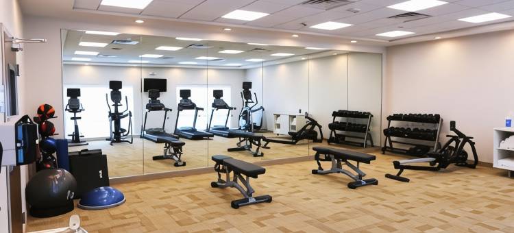 智选假日套房酒店-休斯顿/机场8号环路(Holiday Inn Express & Suites Houston IAH - Beltway 8)图片