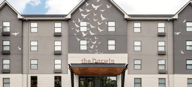 voco 达尔文亚特兰大市中心 by IHG(Voco the Darwin - Atlanta Midtown)图片