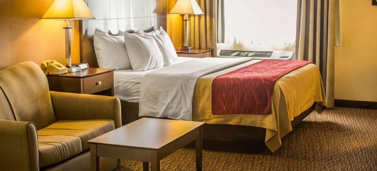 凯艺套房酒店(Quality Inn & Suites)图片