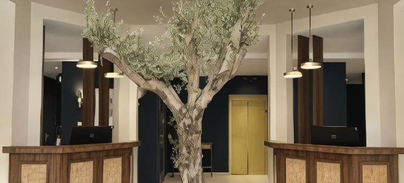 阿尔阿菲法酒店(Hôtel Al Afifa)图片