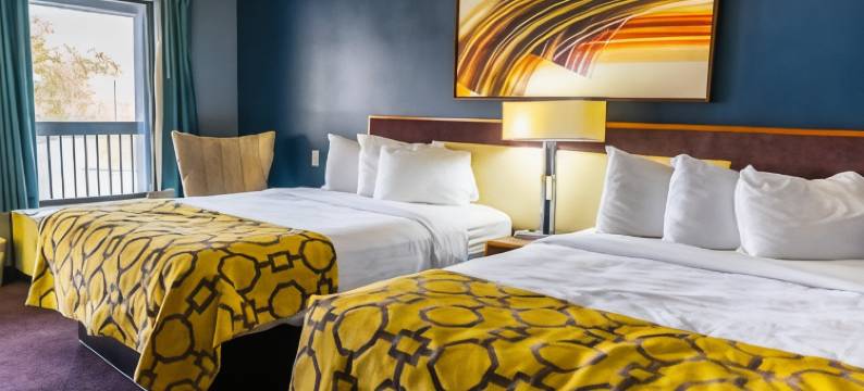 伦敦肯塔基州呗盟套房酒店(Baymont by Wyndham London KY)图片