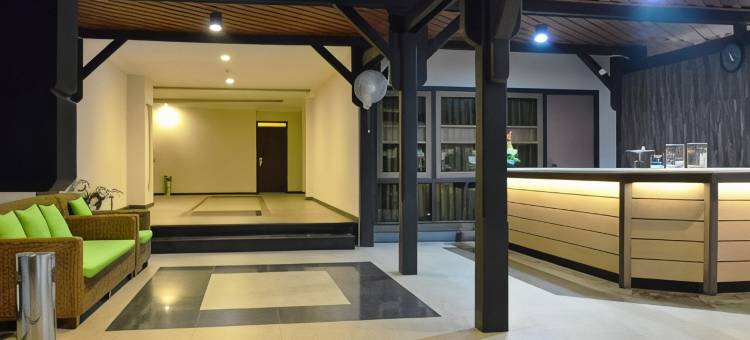 庞卡兰布翁阿尔瑟拉酒店(Arsela Hotel Pangkalan Bun)图片