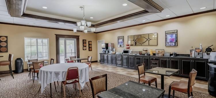 维克斯堡拉昆塔温德姆套房酒店(La Quinta Inn & Suites by Wyndham Vicksburg)图片