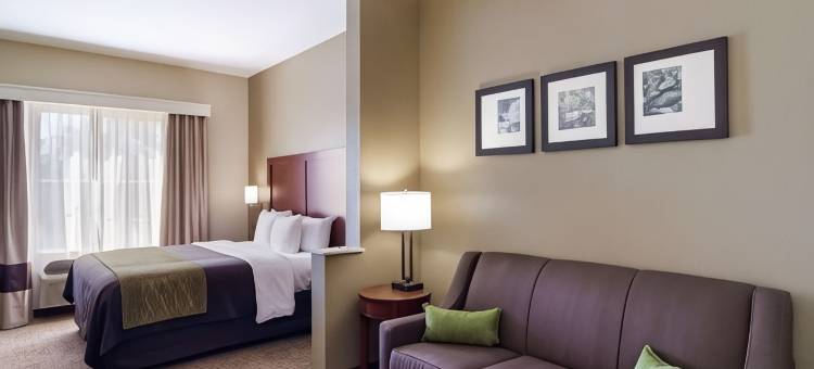 布拉克锡尔84高速公路舒适酒店(Comfort Inn Blackshear Hwy 84)图片