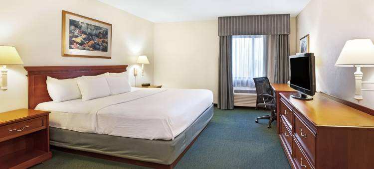 底特律坎顿拉昆塔温德姆酒店(La Quinta Inn by Wyndham Detroit Canton)图片