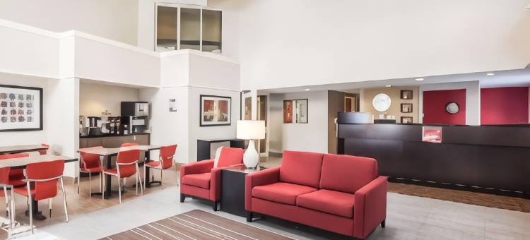 舒适酒店(Comfort Inn)图片