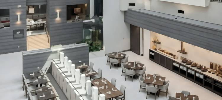 布伦特伍德纳许维尔套房希尔顿酒店(Hilton Brentwood/Nashville Suites)图片