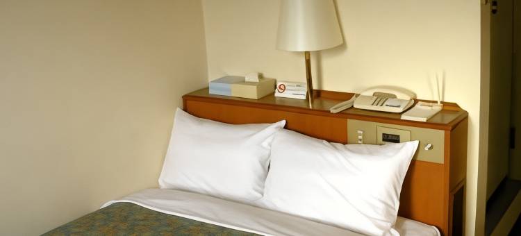 入间第一酒店(Iruma Dai-Ich Hotel)图片