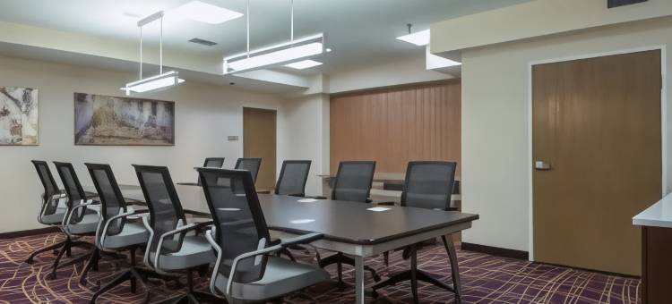 圣安东尼奥市中心/河滨区SpringHill Suites 酒店(SpringHill Suites San Antonio Downtown/Riverwalk Area)图片