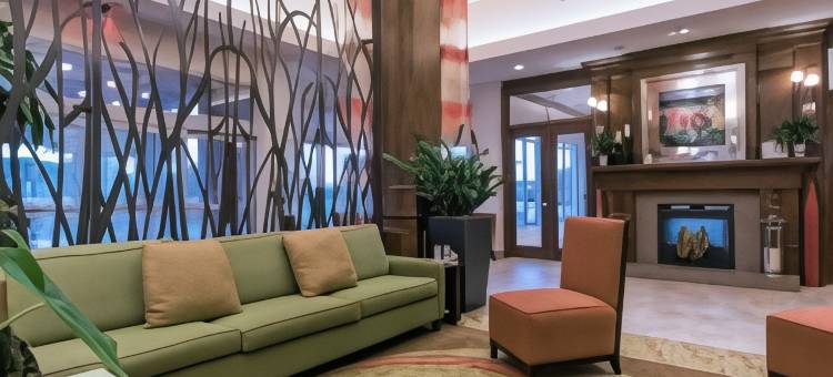 德文斯康门希尔顿花园酒店(Hilton Garden Inn Devens)图片