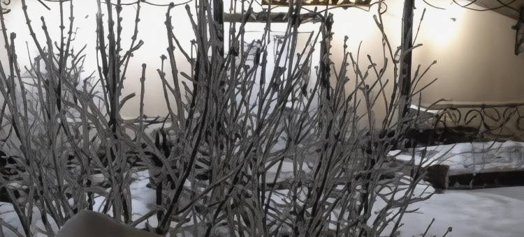 Zagorodnyi Na Zarechnoj Hotel图片