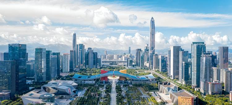 诗雅图 Vista·Skyline影音雅居(深圳会展中心岗厦地铁站店)图片