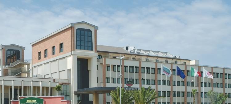 罗马列奥纳多·达芬奇机场美居酒店(Mercure Rome Leonardo da Vinci Airport)图片