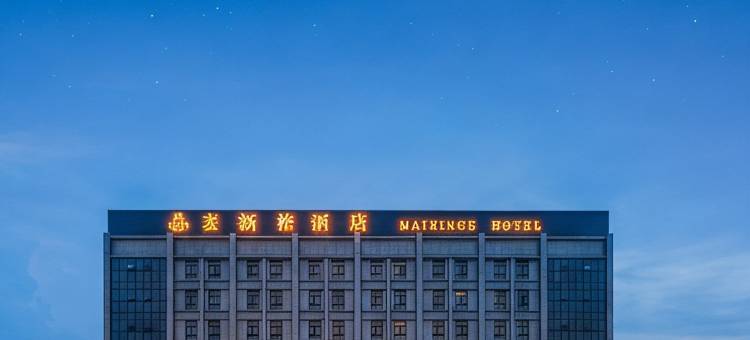上海麦新格国际酒店(周浦地铁站万达广场店)图片