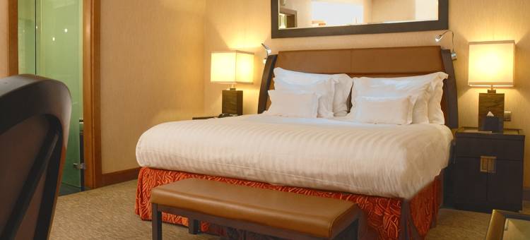 肯梓塔酒店(Kenzi Tower Hotel)图片