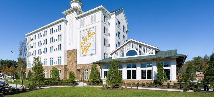 达莱坞梦想度假村(Dollywood's DreamMore Resort and Spa)图片