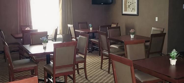 舒适酒店及套房- 艾尔德里(Comfort Inn & Suites)图片
