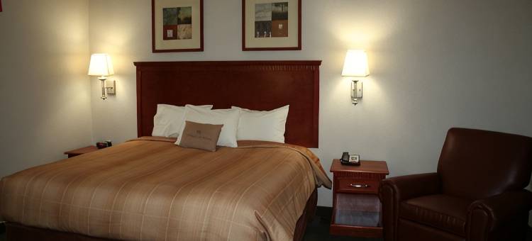 Candlewood Suites 埃文代尔区- 新奥尔良(Candlewood Suites AVONDALE-NEW ORLEANS by IHG)图片