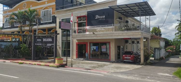 Hotel Diana图片