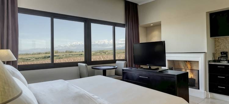 图蓬加托，门多萨葡萄酒酒店(Auberge du Vin, Tupungato, Mendoza)图片
