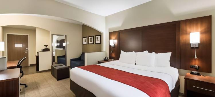门罗舒适套房酒店(Comfort Suites Monroe)图片