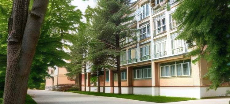 Olgino Na Volge Hotel图片