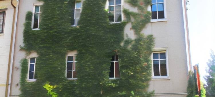 马赫帕奔史图民宿(Pension Mahrets Puppenstube)图片