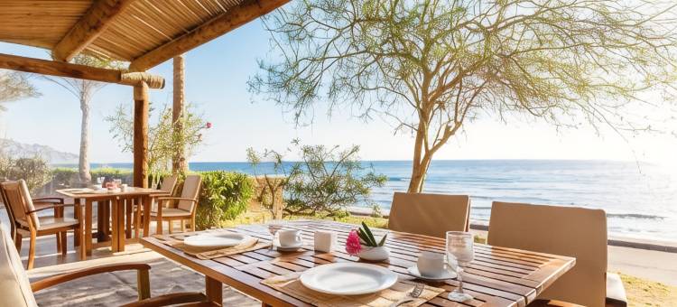 达哈卜天堂酒店(Dahab Paradise)图片