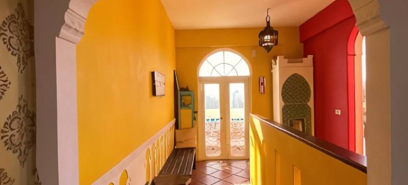 澎湖北非花园图片