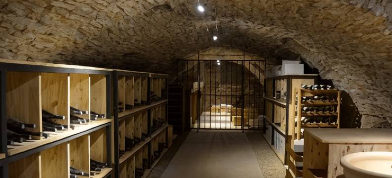 莱斯德舍夫尔酒店 热夫雷-香贝丹(Hôtel les Deux Chèvres Gevrey-Chambertin)图片