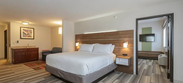 智选假日套房酒店南湾 - 巴黎圣母院UNIV。(Holiday Inn Express & Suites South Bend - Notre Dame Univ.)图片