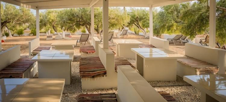 新极光-入住酒店(New Aurora Apts Studios)图片