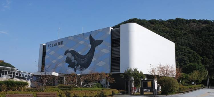 休暇村 南纪胜浦(Kyukamura Nanki-Katsuura)图片