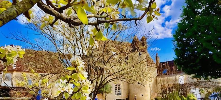 拉巴尔庄园(Manoir de La Barre Ceton)图片