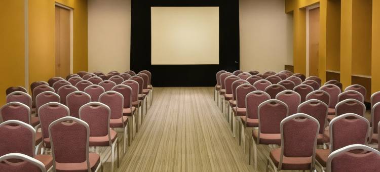 蒙特雷机场希尔顿花园酒店(Hilton Garden Inn Monterrey Airport)图片