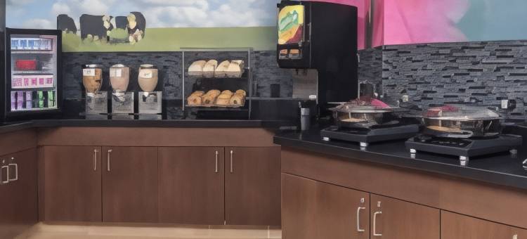 盖尔斯堡万枫酒店(Fairfield Inn & Suites Galesburg)图片