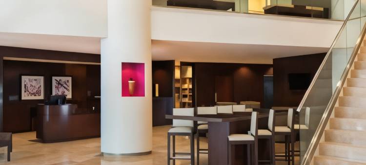 梅泰里新奥尔良喜来登酒店(Sheraton Metairie - New Orleans Hotel)图片