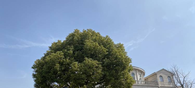 糖果的小屋民宿(纪鹤公路分店)图片