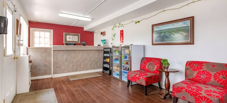伍德斯托克伊克诺旅馆 - 雪伦多亚河谷 I-81(Econo Lodge Woodstock - Shenandoah Valley I-81)图片