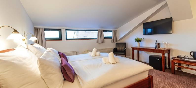 扎泰茨兹莱提列弗酒店(Zlatý Lev Žatec)图片