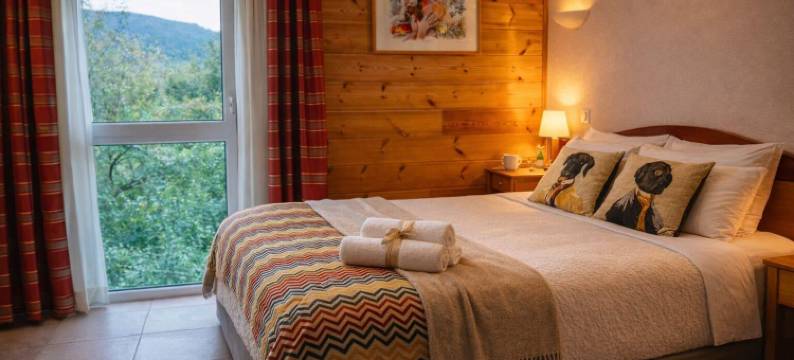 洛吉斯湖泊酒店及餐厅(Logis Hôtel & Restaurant des Lacs)图片