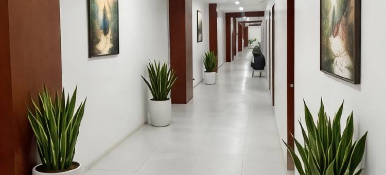 双棕榈宾馆(Twin Palm Guesthouse)图片