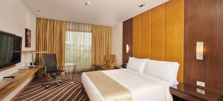 孟买国际机场假日酒店(Holiday Inn MUMBAI INTERNATIONAL AIRPORT by IHG)图片
