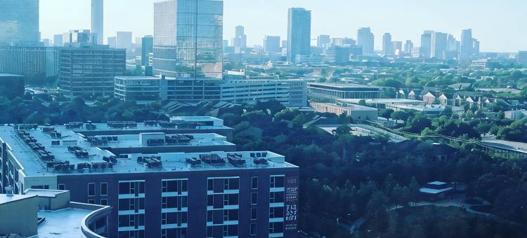 Crowne Plaza 休斯顿橡树河(Crowne Plaza HOUSTON MED CTR-GALLERIA AREA by IHG)图片